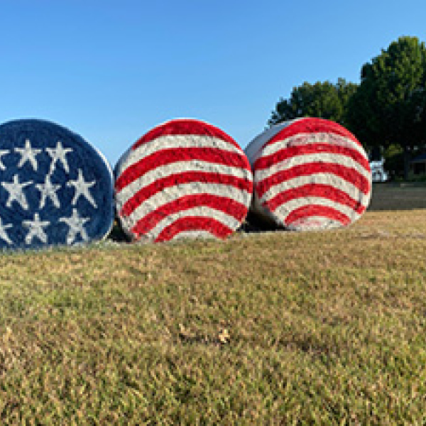 Waving Stars and Stripes