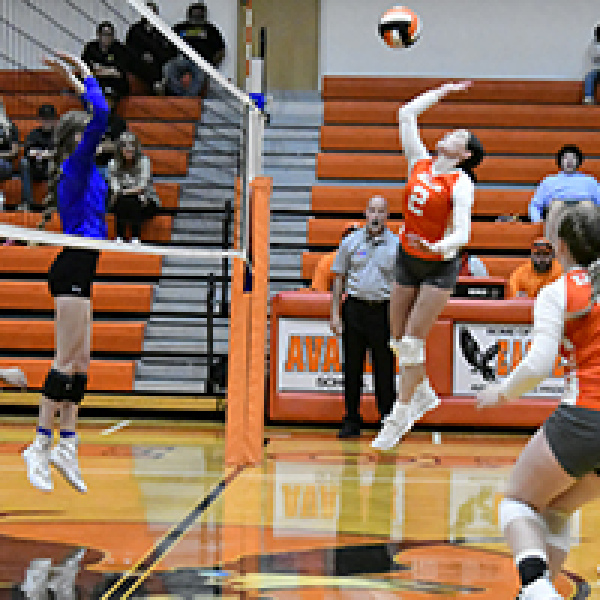 Avalon earns first-place tie