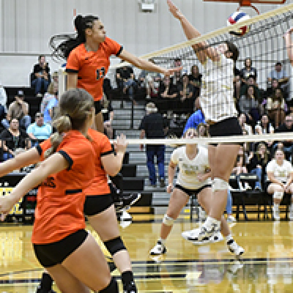 Ferris turns tables on Palmer, 3-1