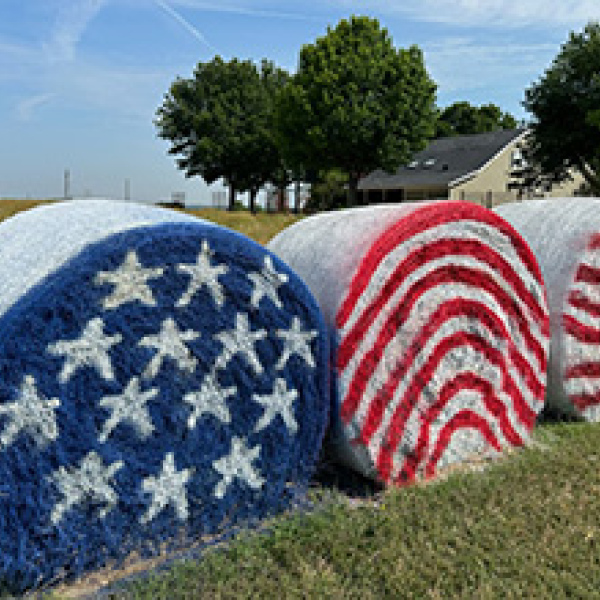 Pride in the American flag