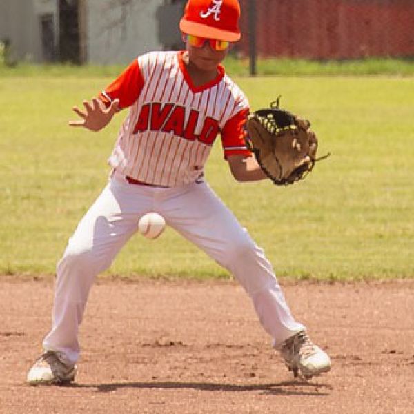 Seven area teams competed at state tournament