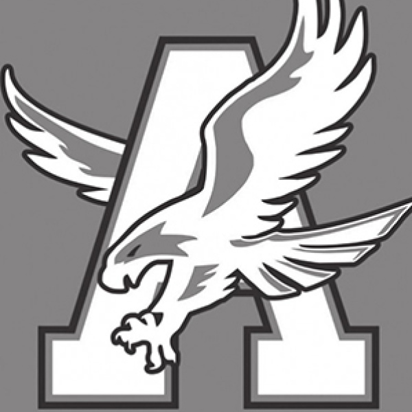 Avalon Eagles soars to playoffs