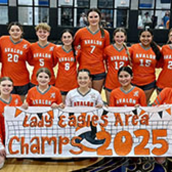 Avalon VB powers past Owls