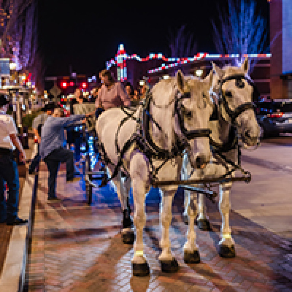 Horse-drawn