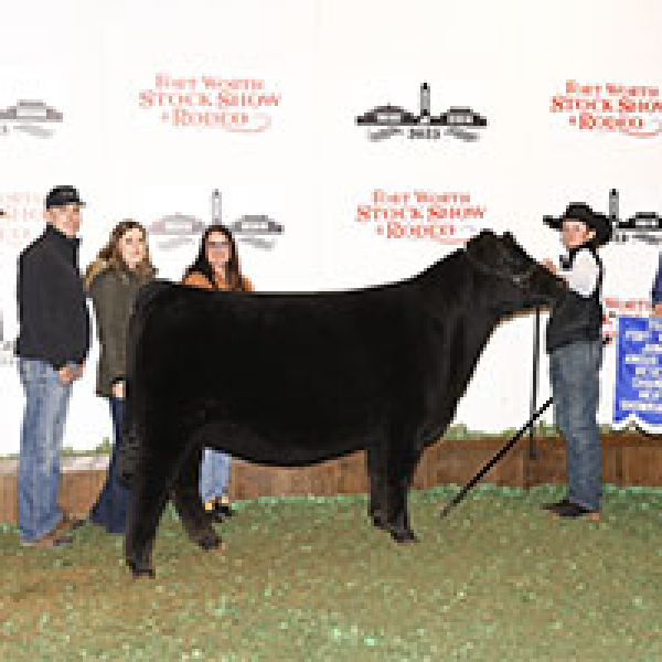Brigham shows the beef at livestock show