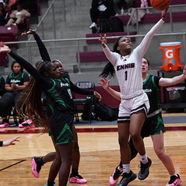 Lady Lion hoopsters off to promising start