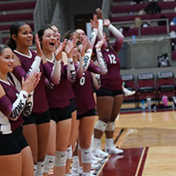 Lady Lions fall, 3-0, in home-opener