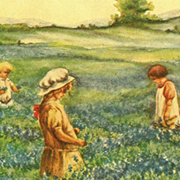 Early days in Ennis: Dateline 1881