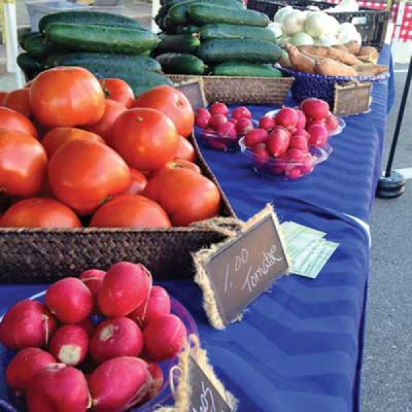 Bluebonnet Market starts May 23