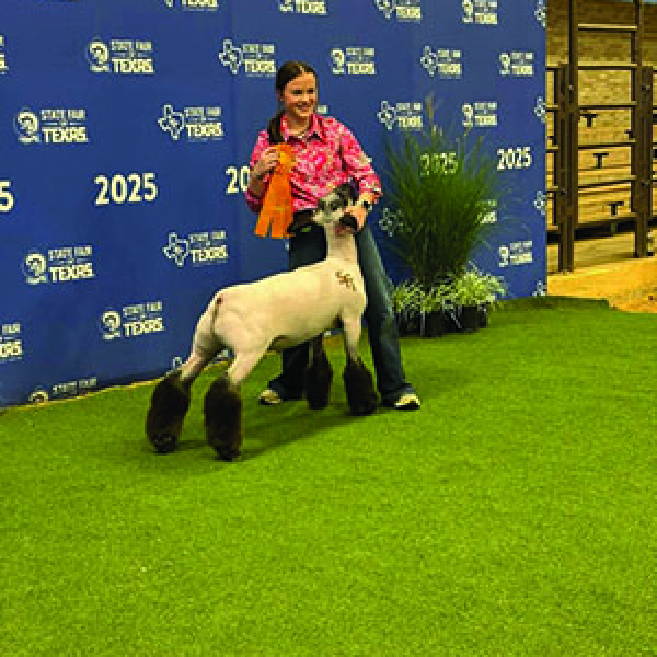 Macy’s little lamb places at state fair