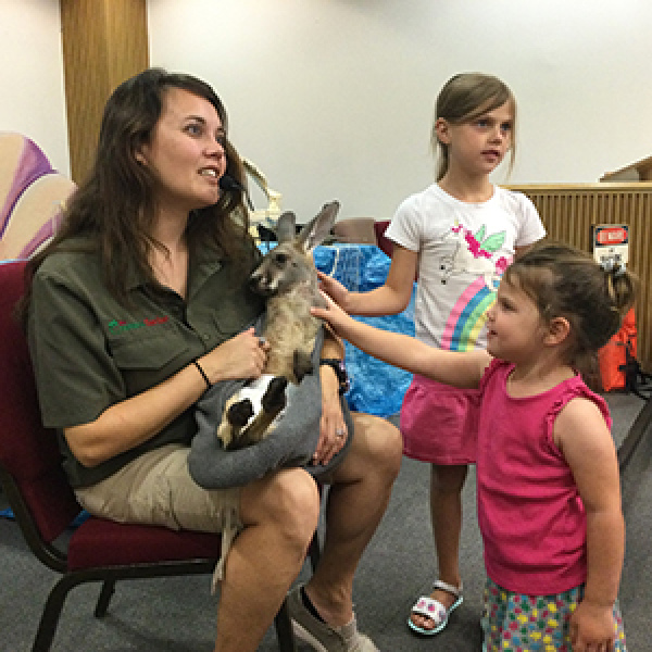Library plans summer performers
