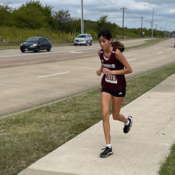 Ennis cross country teams seek new runners