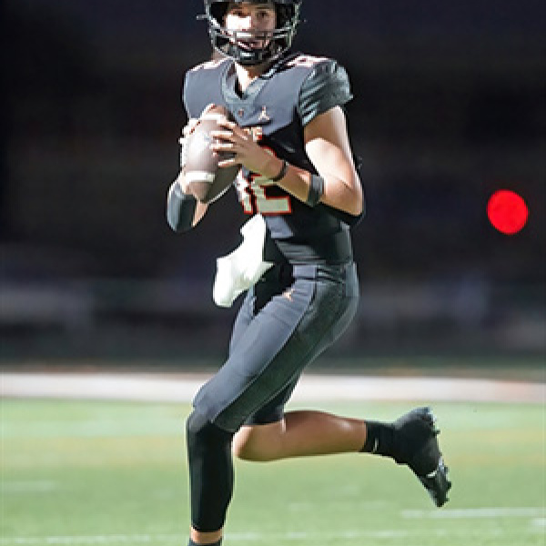Ferris flies again in Class 4A, Div II