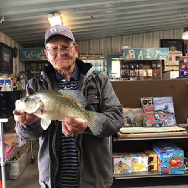 State stocks catfish in 18 lakes