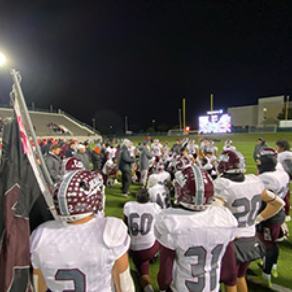CARDS COUNTER LIONS WILD COMEBACK