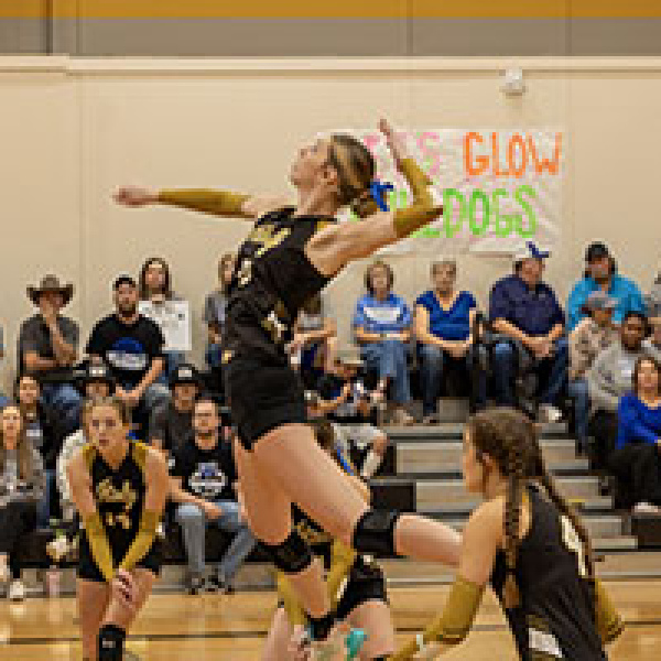 Lady Glads return five starters