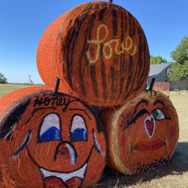 When the dew is on the pumpkin that’s the time for lovin’ bumpkins
