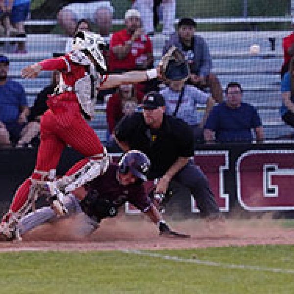 Lions knock stripes off Tigers