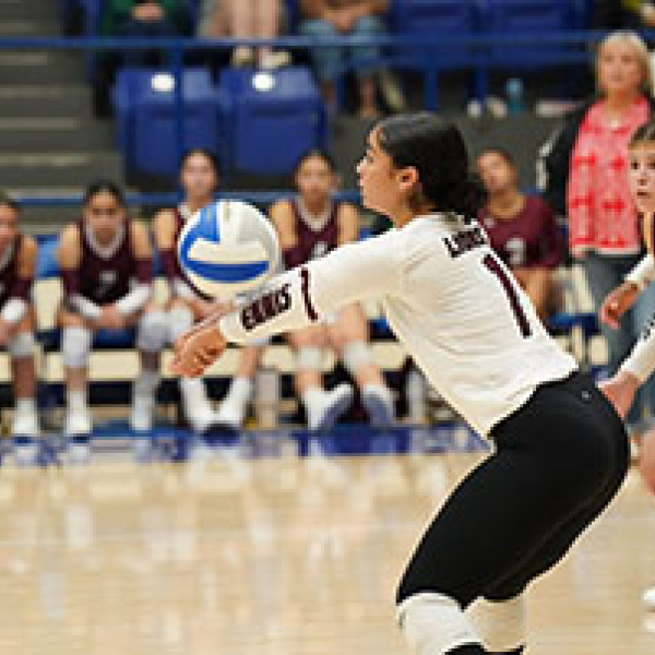 Lady Lions fall short to nemesis