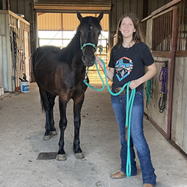 Taming wild horses
