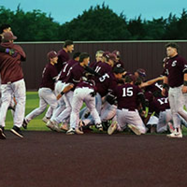 Lions win district championship