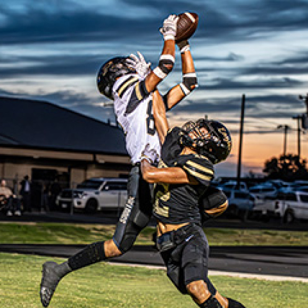 Palmer moving on up to Division 1