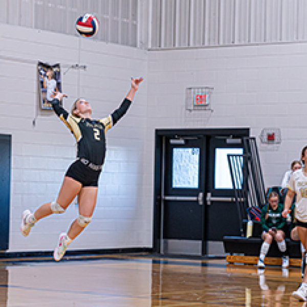 Ferris, Avalon cresting at playoff time