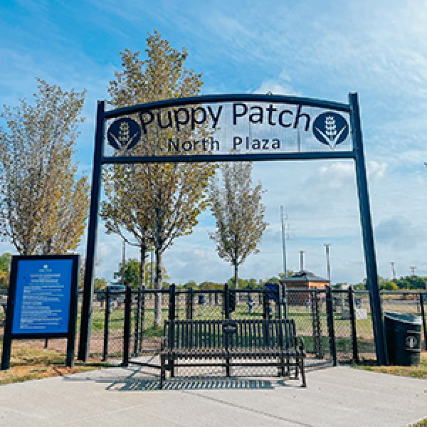 Downtown Puppy Patch still draws fans