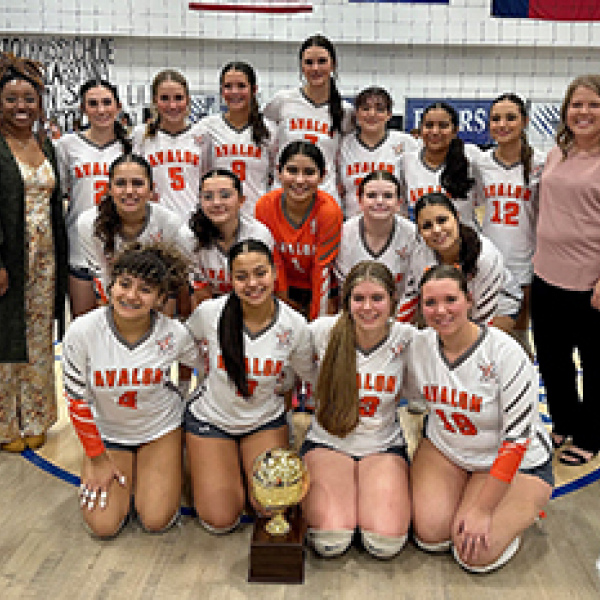 No. 10 Avalon VB ousts Abbott, 3-1