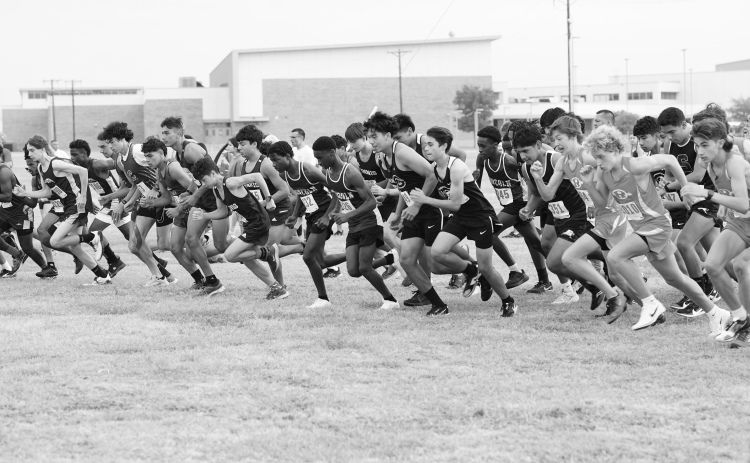 photosbylezley.com